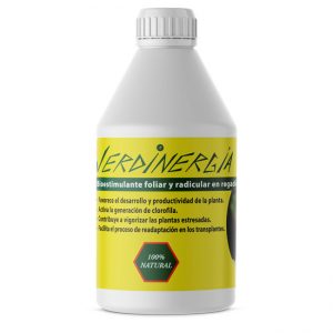 Verdinergía botella 600 ml